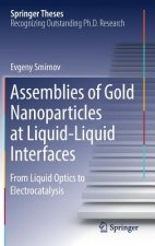 Assemblies of Gold Nanoparticles at Liquid-Liquid Interfaces