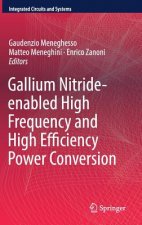 Gallium Nitride-enabled High Frequency and High Efficiency Power Conversion