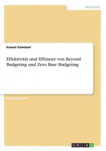 Effektivität und Effizienz von Beyond Budgeting und Zero Base Budgeting