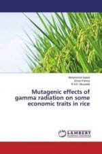 Mutagenic effects of gamma radiation on some economic traits in rice