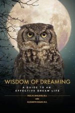 Wisdom of Dreaming: A guide to an effective dream life