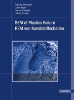 Sem of Plastics Failure: Rem Von Kunststoffscheaden