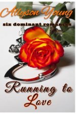 Running to Love: The Series
