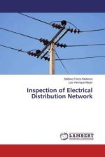 Inspection of Electrical Distribution Network