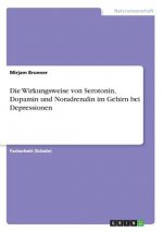 Die Wirkungsweise von Serotonin, Dopamin und Noradrenalin im Gehirn bei Depressionen