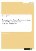 Exemplarische Unternehmensbewertung des Start-Up Unternehmens 