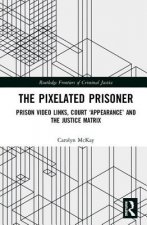 Pixelated Prisoner