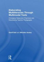 Elaborating Multiliteracies through Multimodal Texts