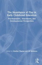 Importance of Play in Early Childhood Education