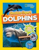 Absolute Expert: Dolphins