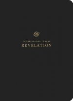 ESV Scripture Journal