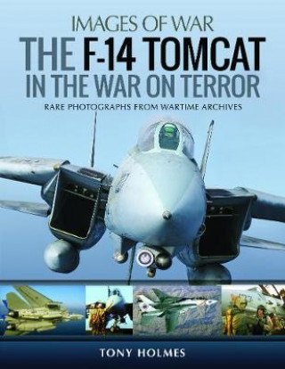 F-14 Tomcat in the War on Terror