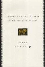 MEMORY IN CELTIC LITERATURES