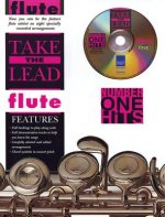 Take the Lead. No. 1 Hits (flute (+CD)