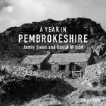 Year In Pembrokeshire