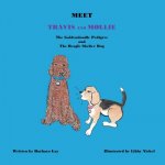 Meet Travis and Mollie, the Goldendoodle Pedigree and the Beagle Shelter Dog