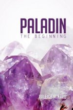 Paladin: The Beginning