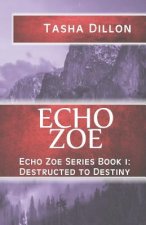 Echo Zoe: Book 1: Destructed to Destiny