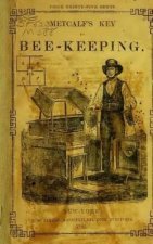 Metcalf's Key to Beekeeping: Most Profitable Method of Managing Bees