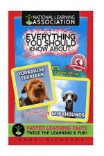 Everything You Should Know About Yorkshire Terriers and Greyhounds