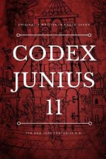 Codex Junius 11