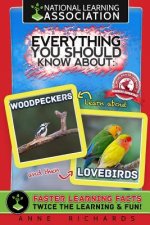 Everything You Should Know About Woodpeckers and Lovebirds