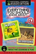 Everything You Should Know About Wasps and Scorpions