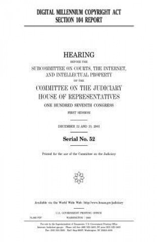 Digital Millennium Copyright Act section 104 report