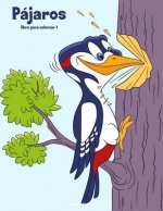 Pajaros libro para colorear 1
