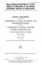 Small business development in Native American communities: is the federal government meeting its obligations?
