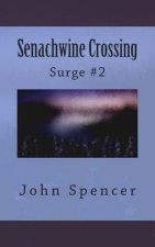 Senachwine Crossing: Surge #2