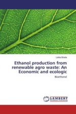 Ethanol production from renewable agro waste: An Economic and ecologic
