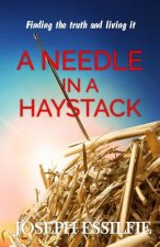 A Needle in a Haystack: Finding Faith and Living It