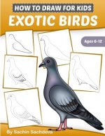 How to Draw for Kids (Exotic Birds): The Step-by-Step Guide to Draw Peacock, Sparrow, Dove, Flamingo, Parrot, Crane, Eagle, Woodpecker and Many More