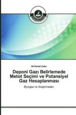 Deponi Gazi Belirlemede Metot Seçimi ve Potansiyel Gaz Hesaplanmasi