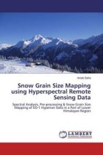 Snow Grain Size Mapping using Hyperspectral Remote Sensing Data