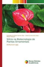 Silicio na Biotecnologia de Plantas Ornamentais