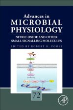 Nitric Oxide and Other Small Signalling Molecules