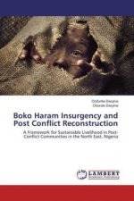 Boko Haram Insurgency and Post Conflict Reconstruction