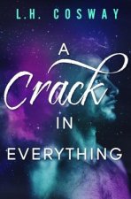A Crack in Everything
