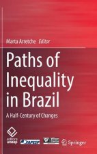 Paths of Inequality in Brazil