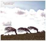 What we have sown, 1 Audio-CD