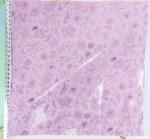 Stoff Rosa, Blumen Metallic 25 x 70 cm