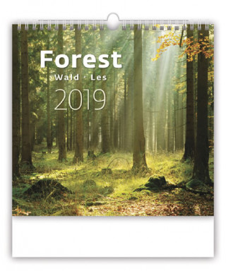 Les - nástěnný kalendář 2019