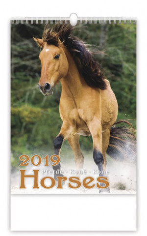 Koně - nástěnný kalendář 2019