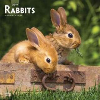 Rabbits 2019 Square Wall Calendar