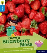 Oxford Reading Tree Explore with Biff, Chip and Kipper: Oxford Level 3: Grow a Strawberry Mess