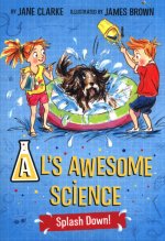 AL's Awesome Science: Splash Down