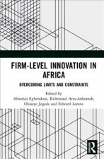 Firm-Level Innovation In Africa