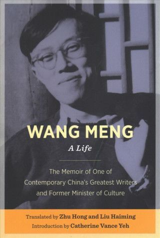Wang Meng